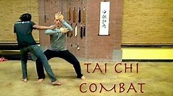 Top 10 TAI CHI Combat Fighting Moves - Tai Ji Quan Combat