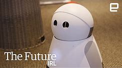 Domestic Robots | The Future In Real Life