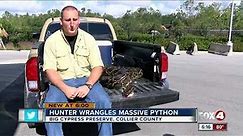 16-foot python caught in Big Cypress National Preserve