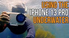 Using iPhone 13 Pro Underwater
