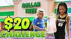 20$ Dollar Store Challenge
