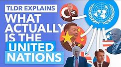 The United Nations Explained: How Does it ACTUALLY Work? - TLDR News