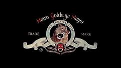 Metro Goldwyn Mayer (1982)