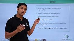 Class 11th – Protozoans – Ciliata | Biological Classification | Tutorials Point