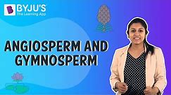 Difference Between Angiosperms And Gymnosperms