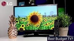 Best Budget TV? LG 22TN410V 22" LED TV (2020 Model) - Full HD IPS Display!