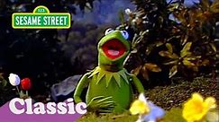 I Wonder 'Bout The World Song with Kermit | Sesame Street Classic