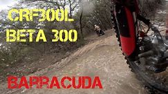 Moto music video - CRF300L chasing the Beta 300 - Barracuda