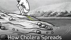 How Cholera Spreads
