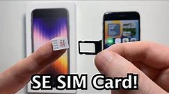 iPhone SE 3 (2022): How to Insert or Remove SIM Card