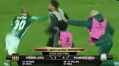 WATCH: Massive brawl breaks out in South American Copa Libertadores soccer match