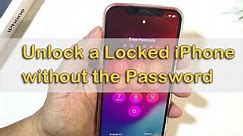 How to Unlock a Locked iPhone without the Password (without Computer 2024)