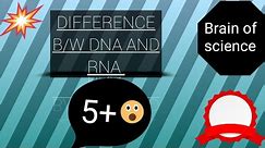 Science: Difference between DNA and RNA|5+ Differences between DNA and RNA