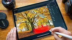 The Best Free Photo Editing Apps in 2024