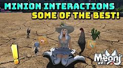 FFXIV: Some of the best Minion Interactions!