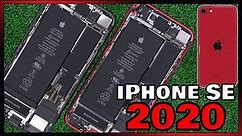 Apple iPhone SE 2020 Disassembly Teardown Repair Video Review 99% Identical to iPhone 8!!!