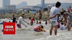 Japan heatwave declared natural disaster - BBC News