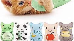 Dorakitten Catnip Toys for Indoor Cats - 5PCS Plush Cat Chew Toys Teething Interactive Catnip Filled Kitten Toy Soft Pet Toy (Animal Shapes)