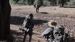 Elephant charges guides on foot in Pafuri region of Kruger - Devon Myers & Andrew Booth