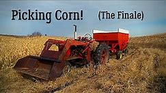 Picking Corn 2019 - Part 2