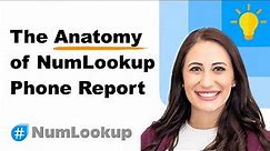 The Anatomy of NumLookup Phone Report