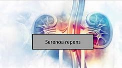 "les médicaments urologie et néphrologie "Serenoa repens