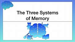 The Three Systems of Memory
