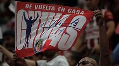 Chivas boosted by 'Chicharito effect' as Toluca match tickets sell-out