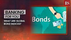 What are global bond indices?