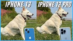 iPhone 13 vs iPhone 13 Pro Camera Comparison | What's the difference?!