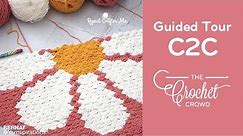 Learning Crochet C2C with Guided Procedures for C2C Graphghans | BEGINNER | The Crochet Crowd