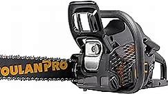 Poulan Pro PR4016, 16 inch chainsaw, 40cc 2-Cycle Gas Powered Chainsaw, Black