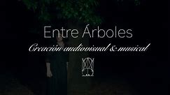 TRüM - Entre Árboles (Live performance)