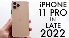 iPhone 11 Pro In LATE 2022! (Review)