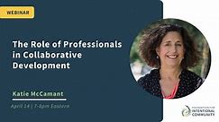The Role of Professionals in Collaborative Development