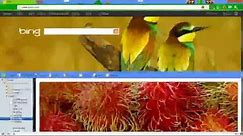 How to Save Bing Wallpapers and Backgrounds