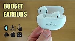 Best Budget Wireless Bluetooth Earbuds for Android and iPhone with Mic