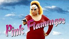 Official Trailer - PINK FLAMINGOS (1972, John Waters, Divine)