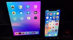 iPad Mini 5 vs iPhone X - Speed Test