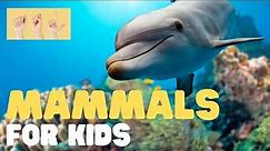 ASL Mammals for Kids