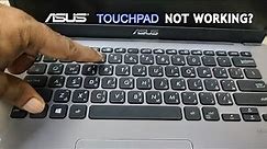 How To Fix Touchpad Mouse Not Working on ASUS Laptop