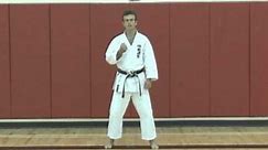 Karate Concepts: Zanshin