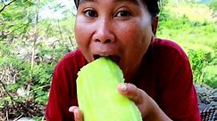 Survival Skills_ Finding Cucumis melo for eating _ yummy eating Cucumis melo