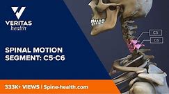 Spinal Motion Segment: C5-C6