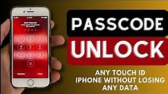 Unlock Touch ID iPhone Passcode Without Losing Data No Computer