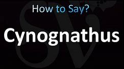How to Pronounce Cynognathus (correctly!)