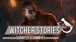 Witcher Stories - Gaunter O'Dimm (Part 1/2) (Witcher Lore)