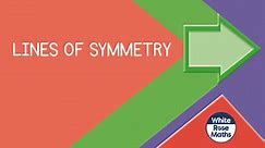 Spr2.8.1 - Lines of symmetry