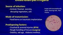 Clostridium perfringens(Gas gangrene): Dr.P.Sreenivasulu Reddy MD