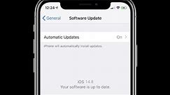 How to Fix iPhone Update says Your Software is Up to Date in iOS 15?
